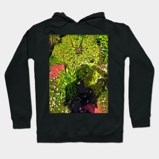 Spring Selfportrait Hoodie